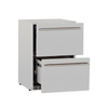 RCS Double Drawer Refrigerator - REFR4